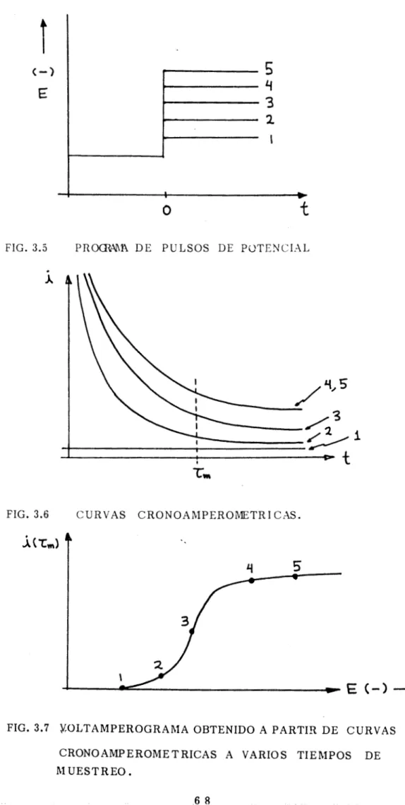 FIG.  3.5  PROCWAR  D E   PULSOS  DE  POTENCIAL 