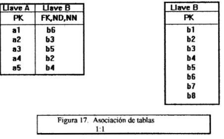 Figura  18.  Representación  gráfica  de  una  sociaci6n 