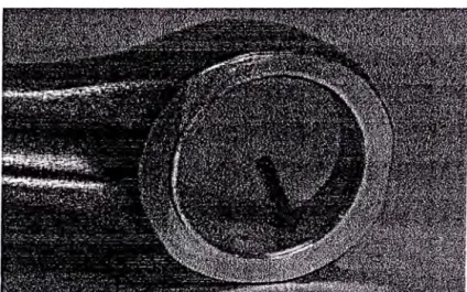 Fig. No. 2.6 Biela 