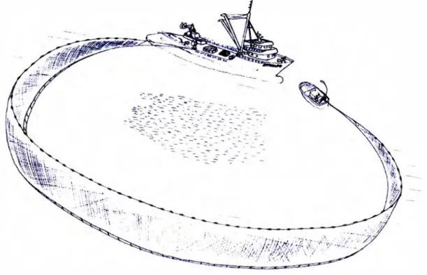 Fig. 4.2  Cierre del cerco. 