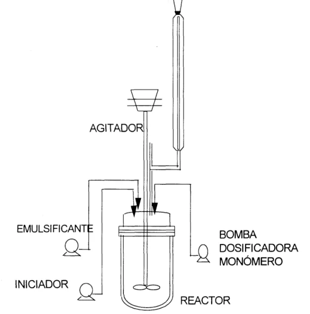fig. 2.1 Esquema del reactor empleado en las polimerizaciónes en emulsión de  los  látex 