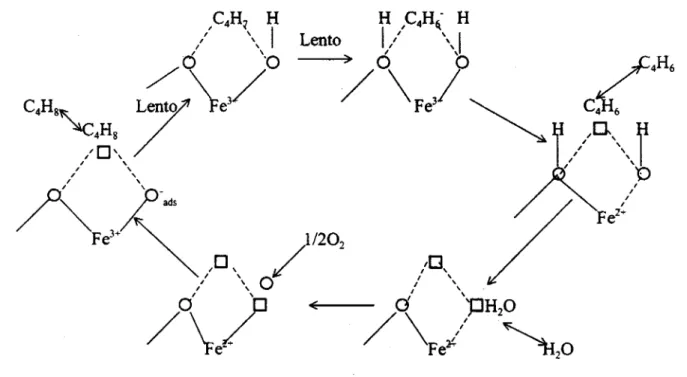 Figura  2.2  Esquema  del  mecanismo  de la reacción  de  deshidrogenación oxidativa  sobre  ferritas&#34;)