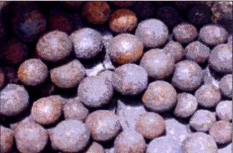 Fig. 2.5: Bolas de acero de 4"y 5" 
