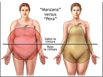 Gráfico 3 