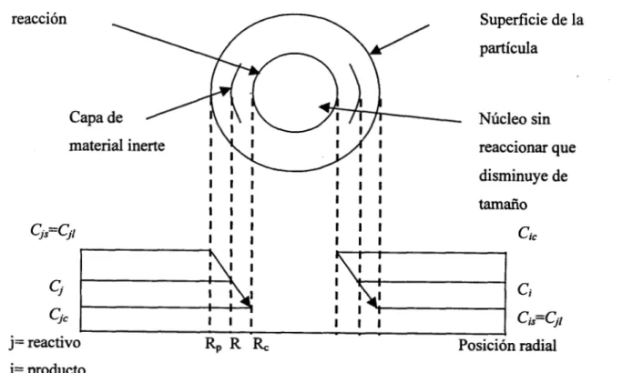 Figura  1. Modelo de núcleo  decreciente 