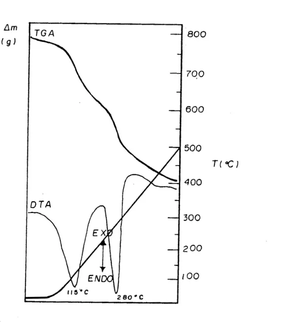 Figura 10.- Análisis Térmico de Sn**/A120,  cuyo precursor  fue  Sn(But)4 