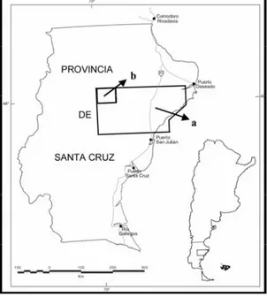 Figura 1. Ubicación del área de estudio: a-  levantamiento geofísico aéreo del sector central del  Macizo del Deseado (SEGEMAR; 1998); b- zona de  control en los alrededores de la Ea
