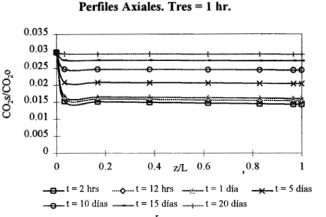 Fig.  4.3.  Perfiles de concentración de oxígeno en  la  biopelícula. 