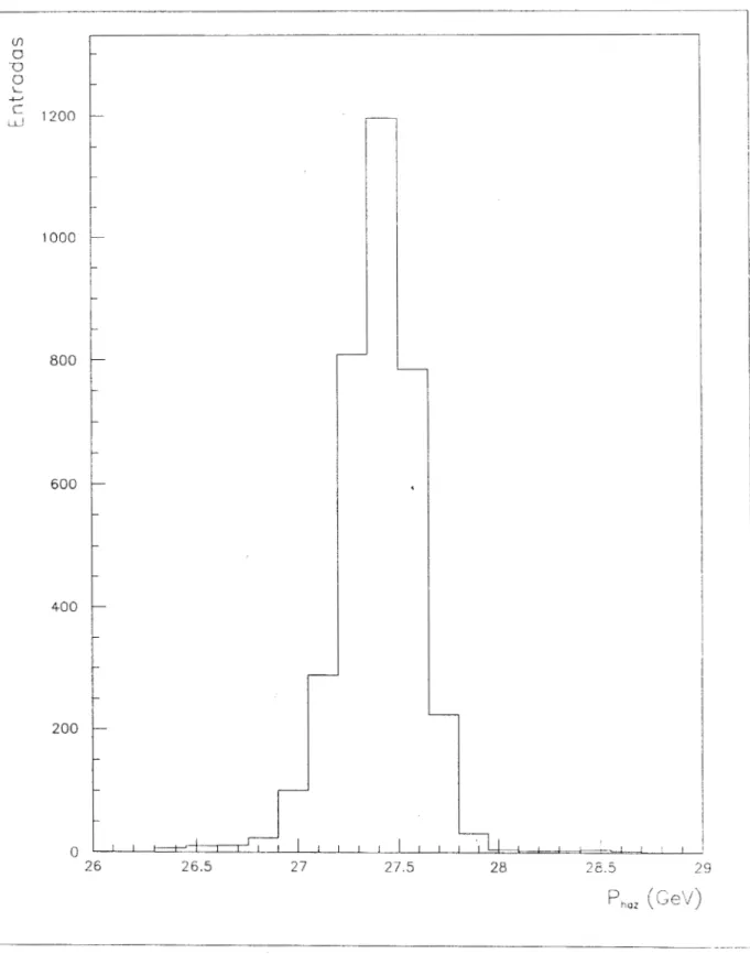 Figura  4.  Distribución  del  momento del haz.  13 