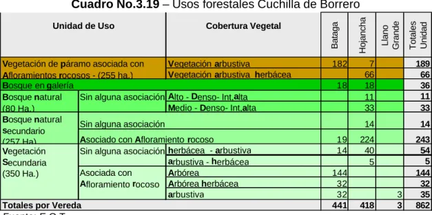 Cuadro No.3.19 – Usos forestales Cuchilla de Borrero 