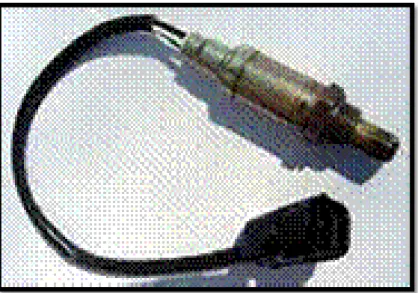 Figura 17. Sonda lambda   (autoditex.com)  