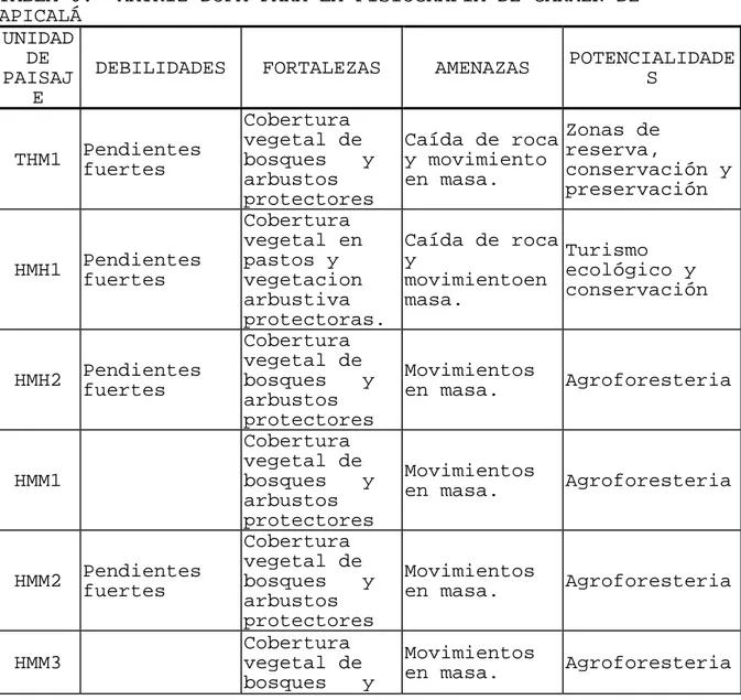 TABLA 6.  MATRIZ DOFA PARA LA FISIOGRAFÍA DE CARMEN DE  APICALÁ 