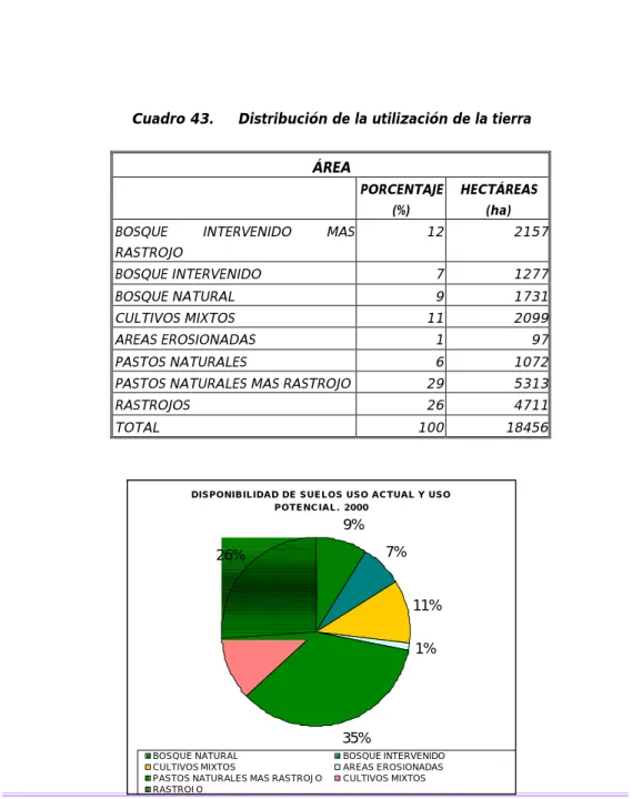 Cuadro 43.  Distribución de la utilización de la tierra  ÁREA  