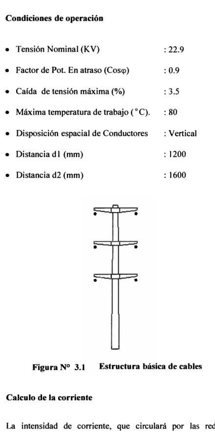 Figura N º  3.1  Estructura básica de cables 
