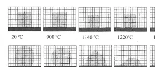 Figura  Nn  11 : Evolución  de la muestra  con  el  incremento de temperatura 