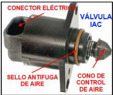 Figura 9. Válvula IAC 