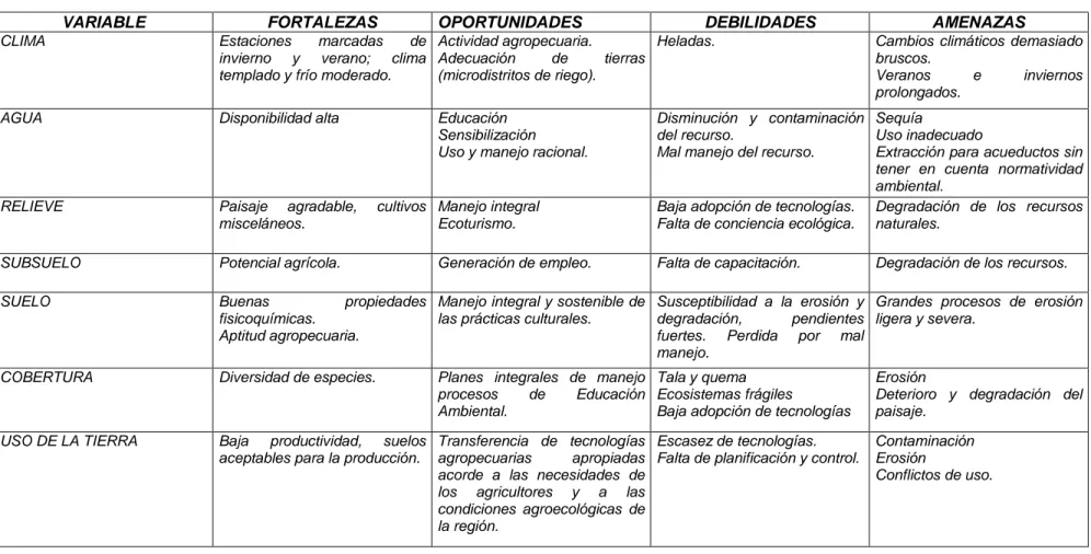 TABLA 7. EVALUACION GENERAL DE LA SITUACION ACTUAL DEL SISTEMA BIOFISICO – AMBIENTAL 