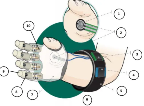 Figura 1.7. Esquema de prótesis de mano y antebrazo, adaptada de [11]. 