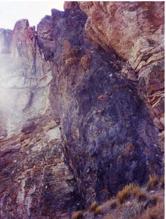 Figura 13. Ignimbritas riolíticas de la Formación Marifil atrave- atrave-sadas por un dique basáltico subvertical, al sudeste del dique