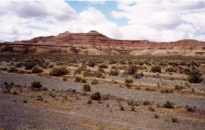 Figura 20. Vista general del cerro Manquel (Grupo Chubut indiferenciado), formado por estratos de tufitas areniscosas y
