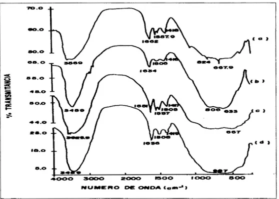 Figura 3.2 Espectros de  IR  de los catalizadores **Sn/Al2o3 (impregnados) calcinados a  d)  * *  Sn-IWA1203