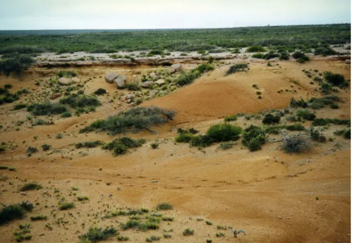 Figura 7. Formación Roca en el salitral La Amarga.