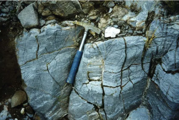 Figura 8. Calizas criptocristalinas de la Formación Roca en el cerro La Parva.