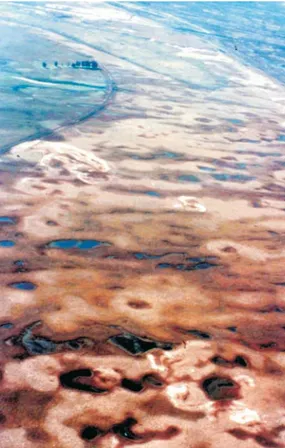 Figura 3. Imagen satelital de la región del delta del Paraná y de los sectores internos y medios del río.
