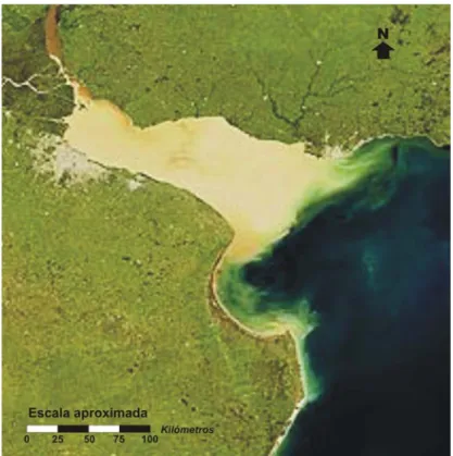 Figura 2. Imagen satelital del río, el cual se diferencia del mar adyacente por el color de sus aguas, que marcan con