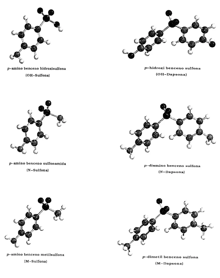 Figura  1 .   Moléculas  de  sulfonas  y  dapsonas  con  parámetros  geométricos  iniciales,  es  decir  con 