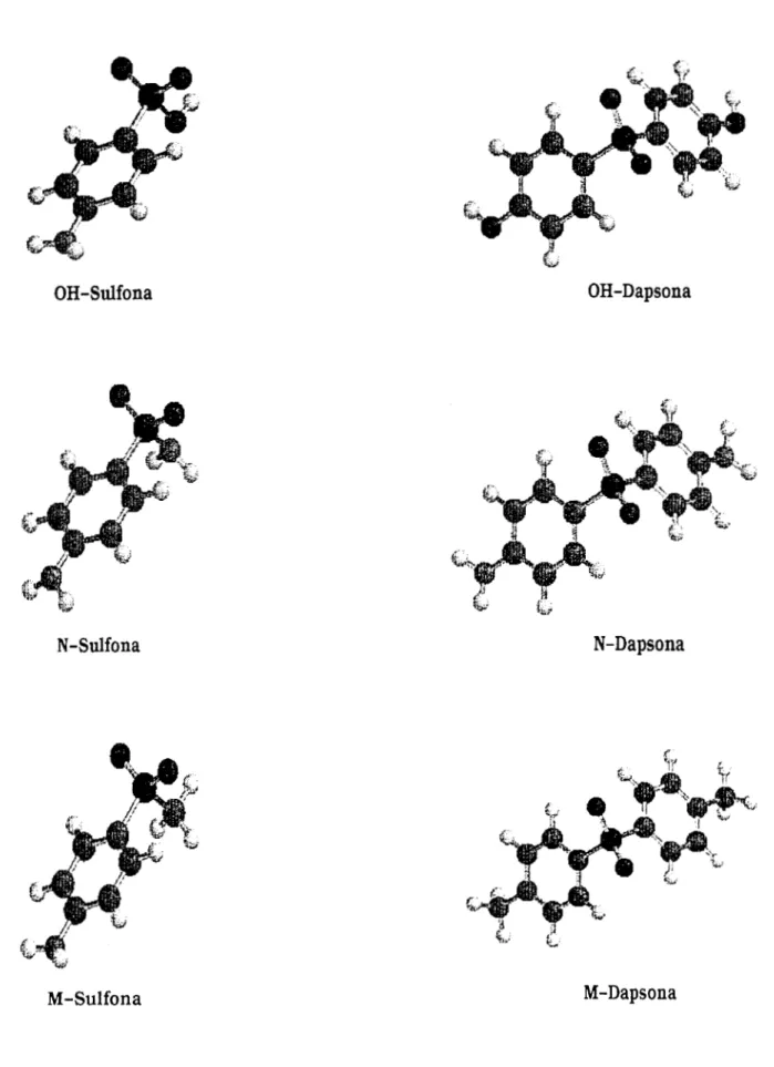 Figura  14.  Moléculas de sulfonas y dapsonas  optimizadas  con  la  base  6-31G** 