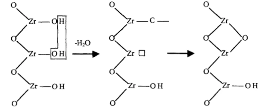 Figura  2.6.  Formación  del Zr02 mediante  el  proceso  sol-gel. 