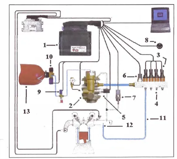 Fig. 3.3: ESTRUCTURA DEL SISTEMA DE APLICACIÓN A GNV 