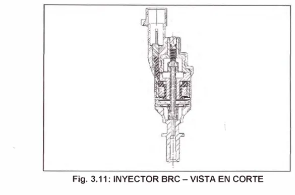 Fig. 3.11: INYECTOR BRC - VISTA EN CORTE 