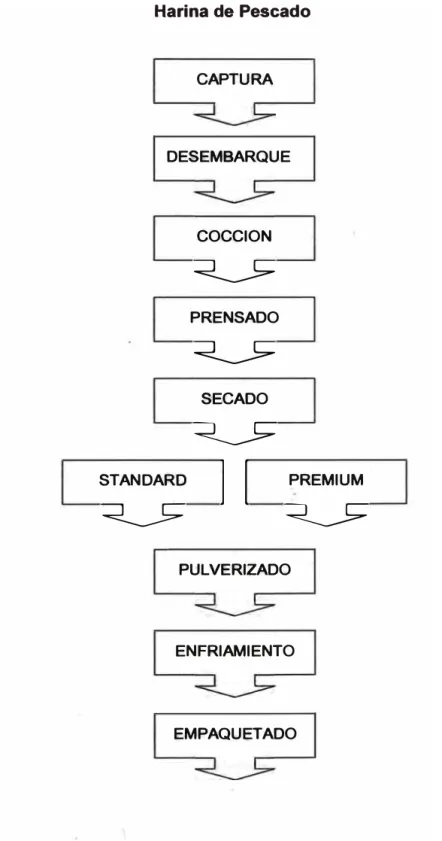 Fig. N º  4:  Proceso Productivo de una Planta de procesamiento de  Harina de Pescado  CAPTURA  DESEMBARQUE  COCCION  �  PRENSADO  �  SECADO  �  STANDARD  �  1  1  � PREMIUM  PULVERIZADO  ENFRIAMIENTO  EMPAQUETADO 