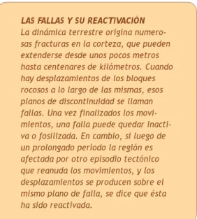 Figura 6. Algunos ejemplos de «trazas fósiles» formadas por el desplazamiento de organismos invertebrados en el fondo