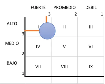 Figura 8. Matriz Interno Externa