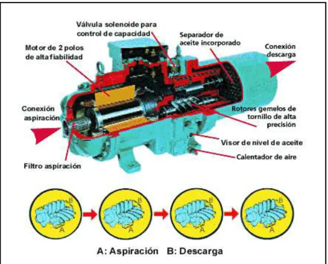 Figura 14. Compresor Helicoidal (Garcia, 2015) 