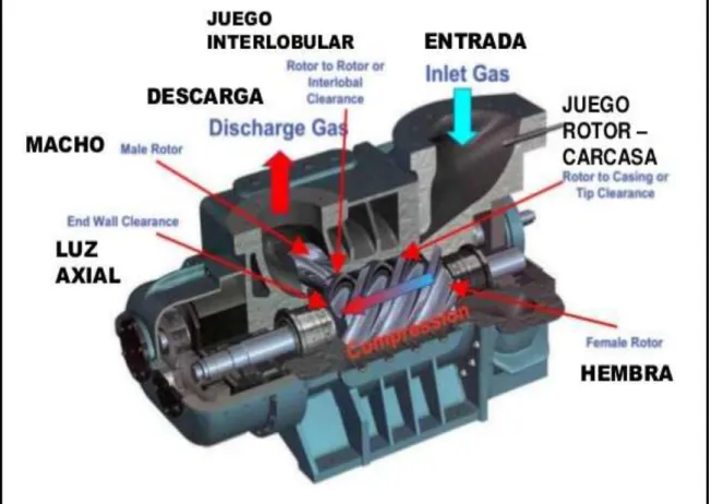 Figura 15. Compresor de tornillo seco (Angel, 2016) 