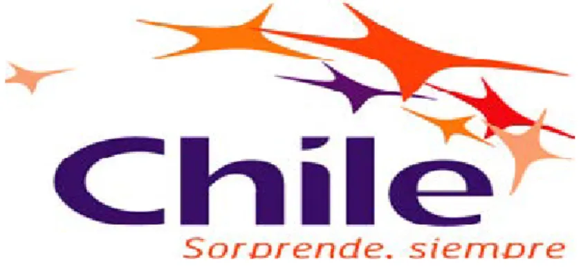 Graphic 8. Logo of country brand Chile.