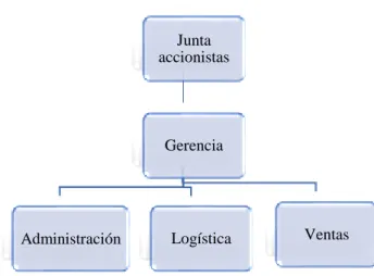 Figura 12.  Estructura organizacional  Estructura y descripción funcional. 