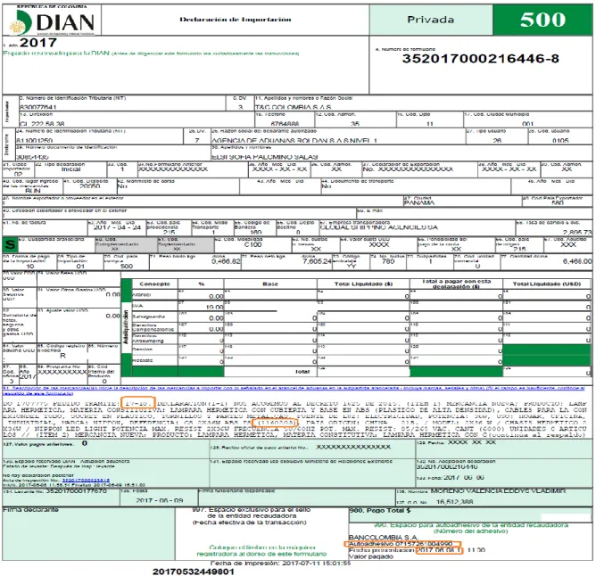 Figura 7. Declaración de Importación 17-10 