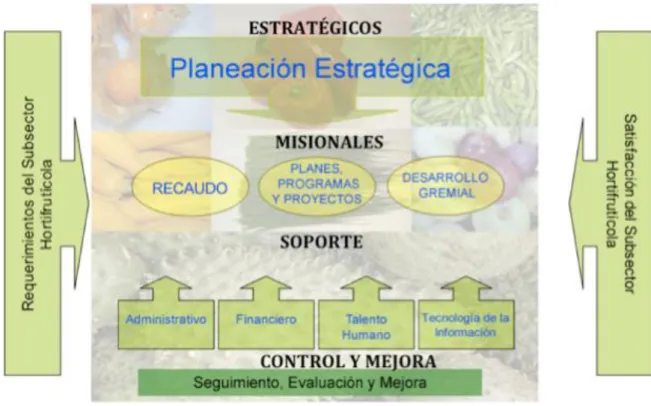 Figura 2. Mapa de Procesos previo al plan de mejora 