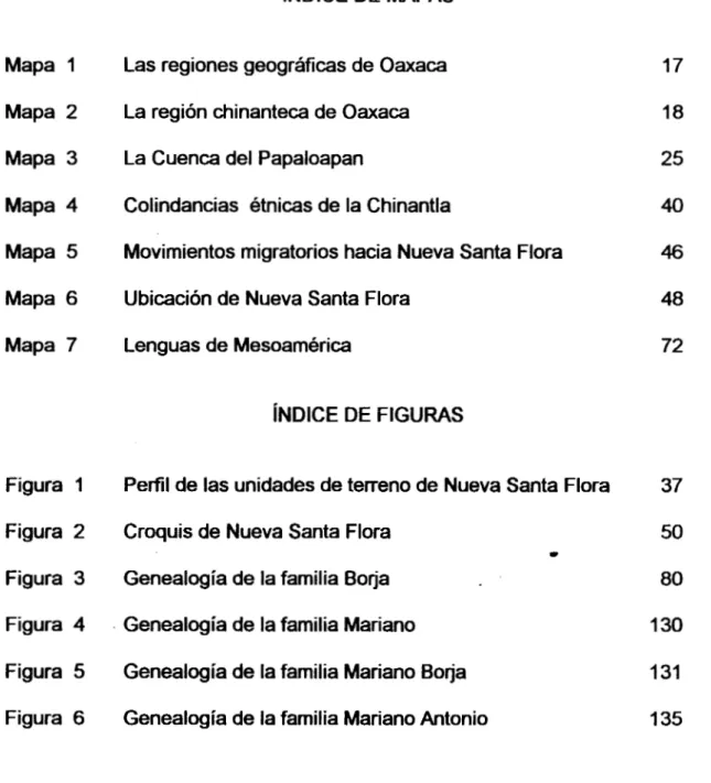 Figura  2  Croquis de Nueva  Santa  Flora  50 