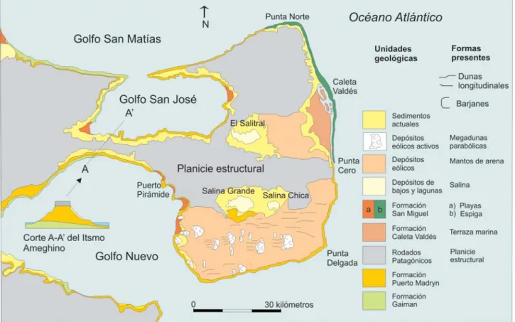 Figura 4. Mapa geológico simplificado de la península Valdés, basado en Haller y otros autores (1998).