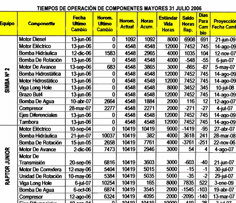 Tabla 5.2 Vida Útil de Componentes principales del Jumbo 