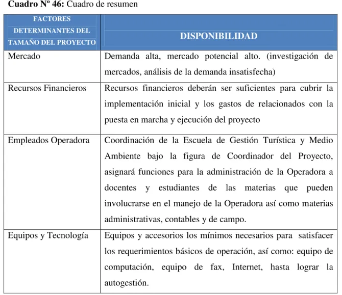 Cuadro Nº 46: Cuadro de resumen 
