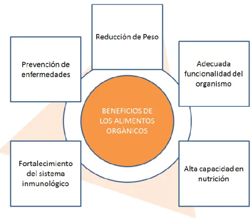 Gráfico No. 2- Beneficios del consumo de comida orgánica  Elaborado por: Autora 