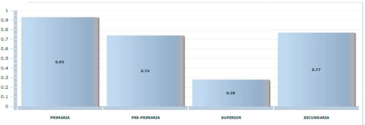 Gráfico 7: Tasa neta de matrícula 