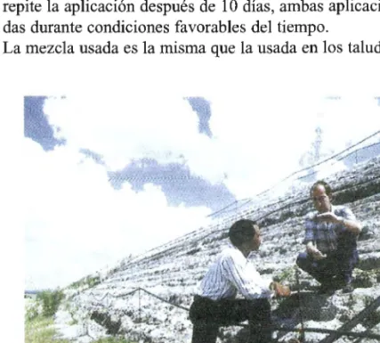Figura  6.1.  Ejemplo  de  vegetalización 